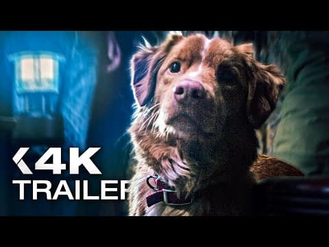 Trailer-Vorschau: Good Boy - Trust His Instincts