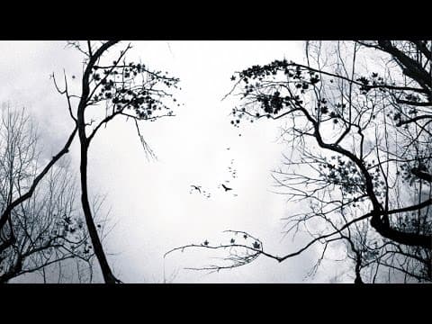 Trailer-Vorschau: Die Vorahnung