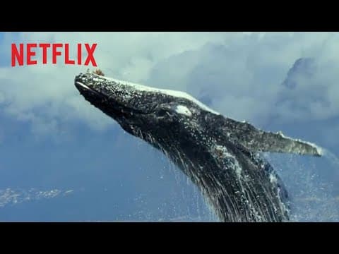Trailer-Vorschau: Unser Planet