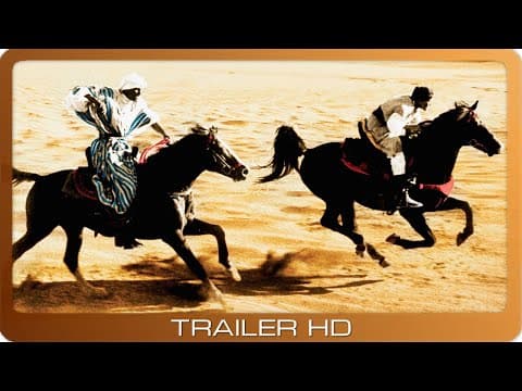 Trailer-Vorschau: Der schwarze Hengst kehrt zurück
