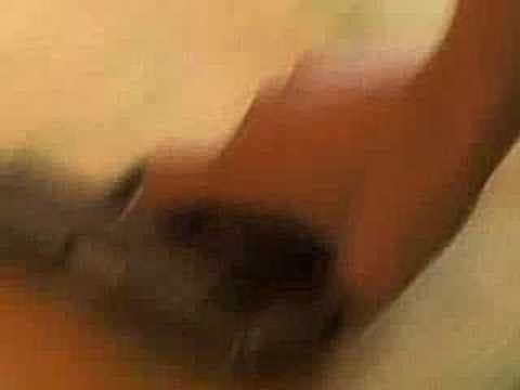 Trailer-Vorschau: Baise-moi (Fick mich!)