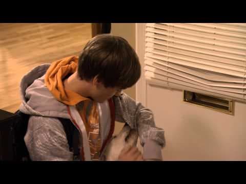 Trailer-Vorschau: Marley & Ich 2 - Der frechste Welpe der Welt