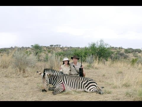 Trailer-Vorschau: Safari