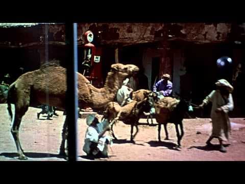 Trailer-Vorschau: Der Mann, der zuviel wusste
