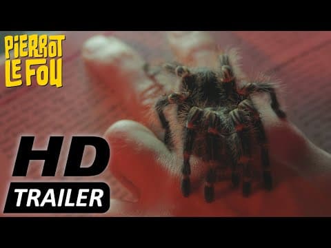 Trailer-Vorschau: The Editor