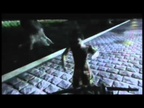 Trailer-Vorschau: Stay Alive