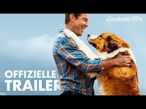 Trailer-Vorschau: Bailey - Ein Hund kehrt zurück