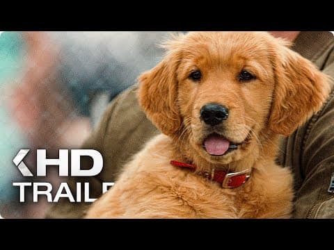Trailer-Vorschau: Enzo und die wundersame Welt der Menschen
