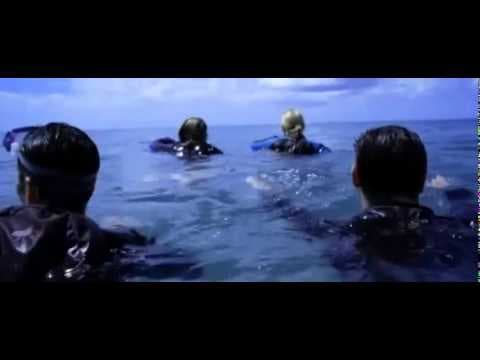 Trailer-Vorschau: The Reef - Schwimm um dein Leben