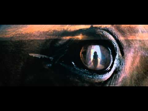 Trailer-Vorschau: Gefährten