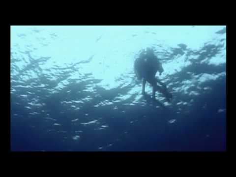 Trailer-Vorschau: Open Water