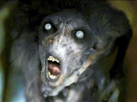 Trailer-Vorschau: Don't Be Afraid of the Dark