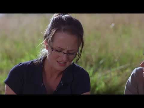 Trailer-Vorschau: Armageddon 2012: Die letzten Stunden der Menschheit