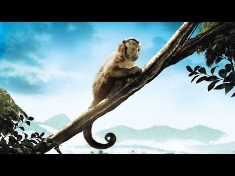 Trailer-Vorschau: Amazonia - Abenteuer im Regenwald