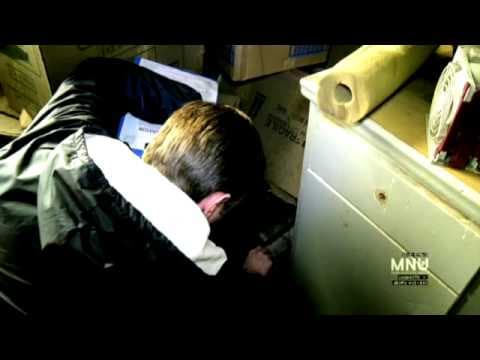 Trailer-Vorschau: District 9