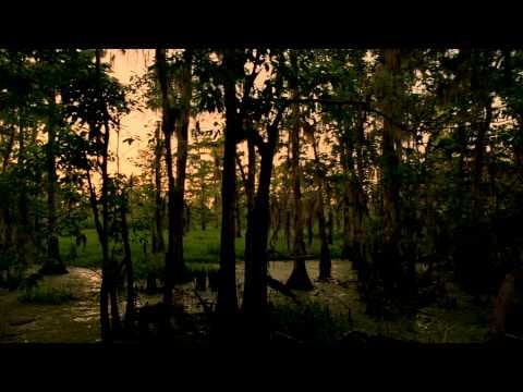 Trailer-Vorschau: True Detective