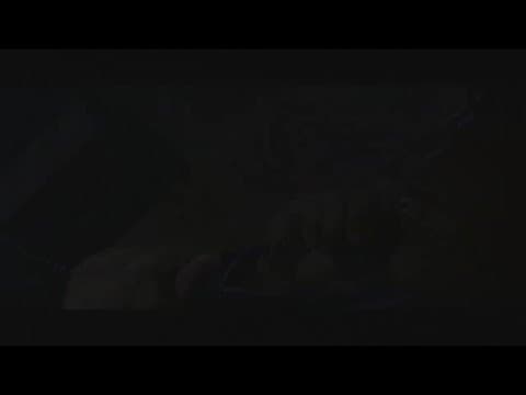 Trailer-Vorschau: Exit