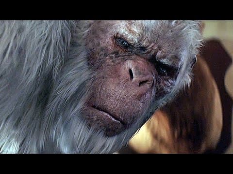 Trailer-Vorschau: Gänsehaut