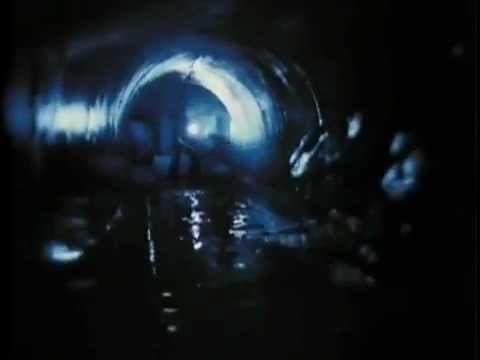 Trailer-Vorschau: Der Horror-Alligator