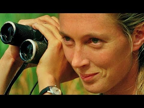 Trailer-Vorschau: Jane – Mein Leben mit Schimpansen