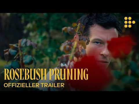 Trailer-Vorschau: Rosebush Pruning