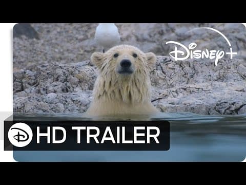 Trailer-Vorschau: Eisbären