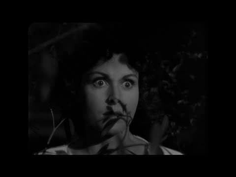 Trailer-Vorschau: Ich folgte einem Zombie