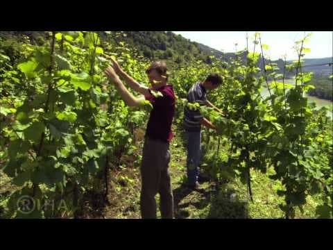 Trailer-Vorschau: Wachau - Land am Strome