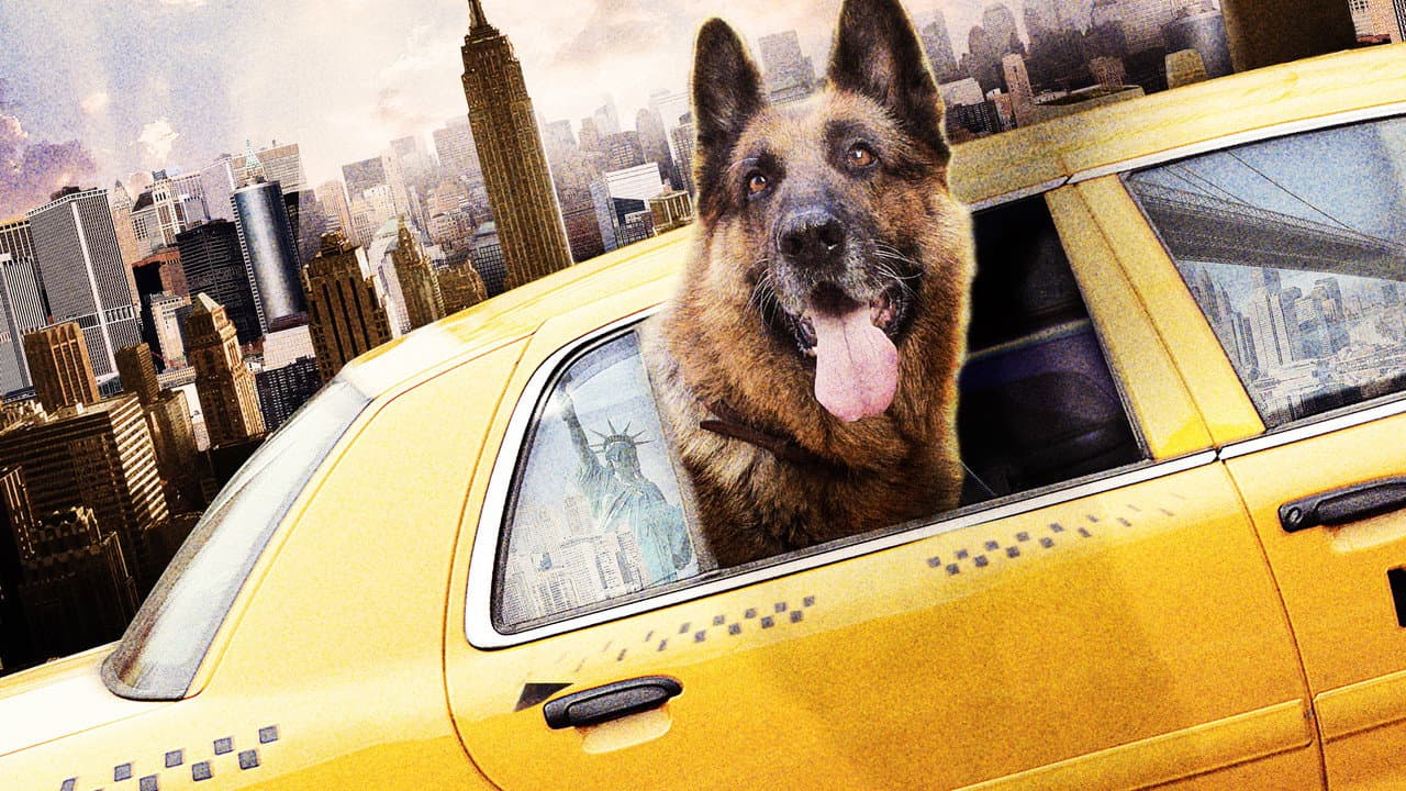 Szene aus Tierisch Cool - Ein Hund in New York