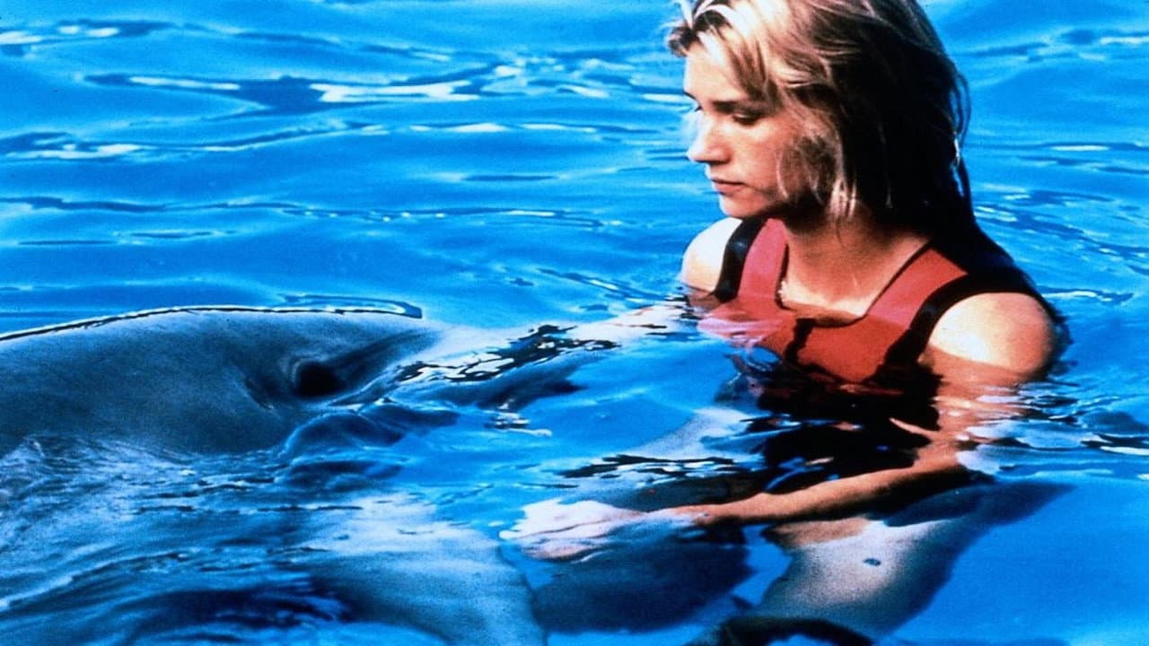 Szene aus Das Mädchen und der Delfin