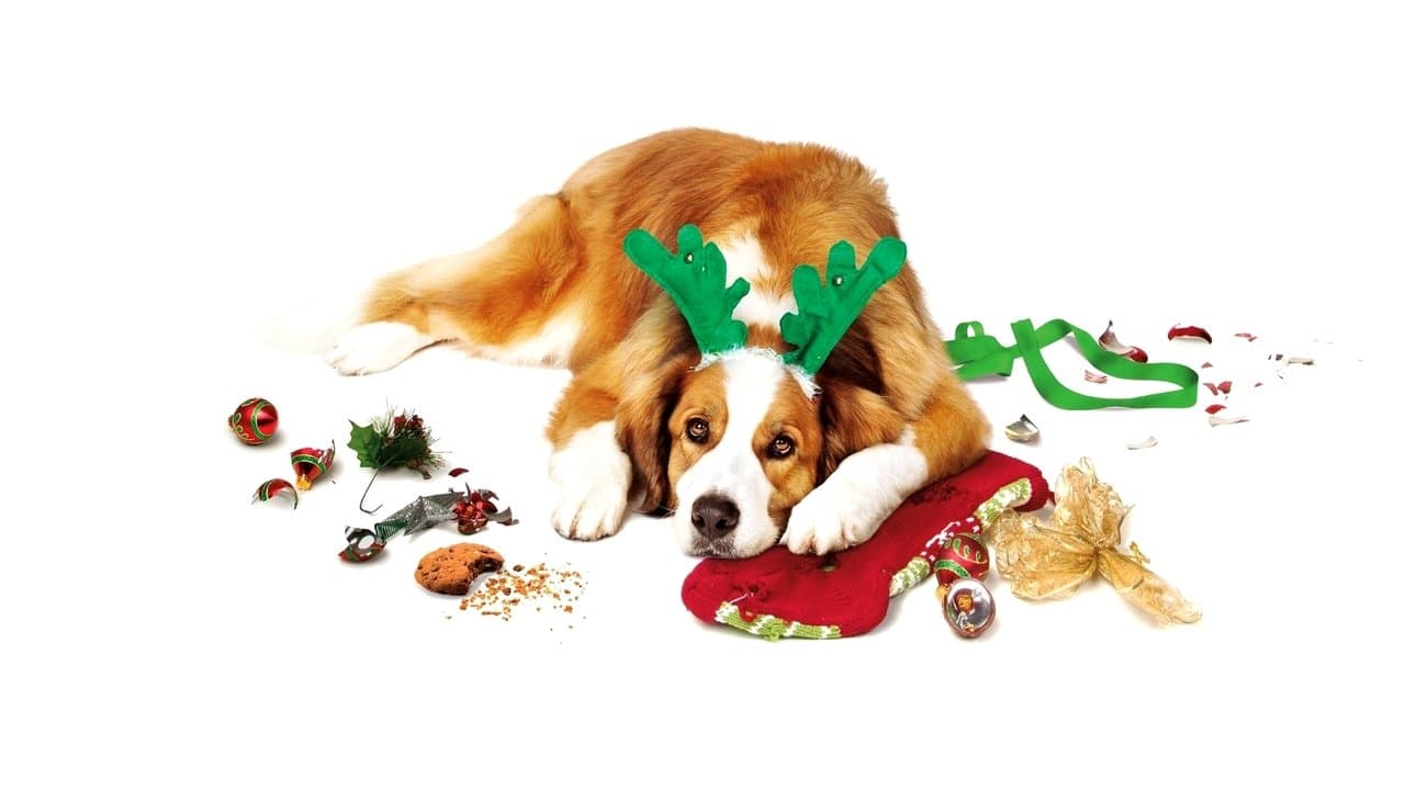 Szene aus Alle Jahre wieder - Weihnachten mit den Coopers