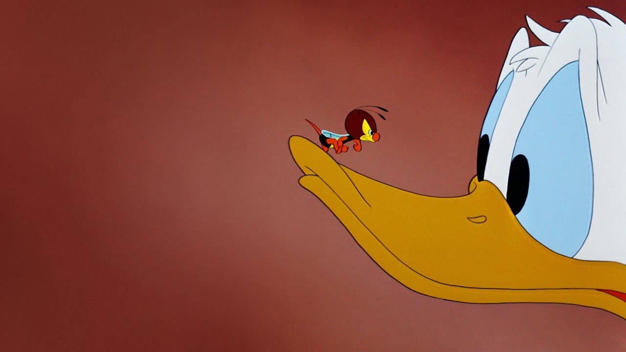 Szene aus Donald, der Hobbytapezierer