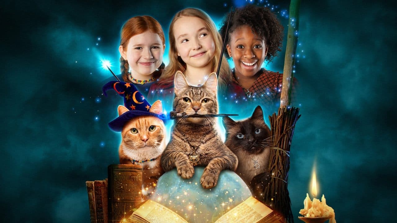 Szene aus Hexen und Katzen