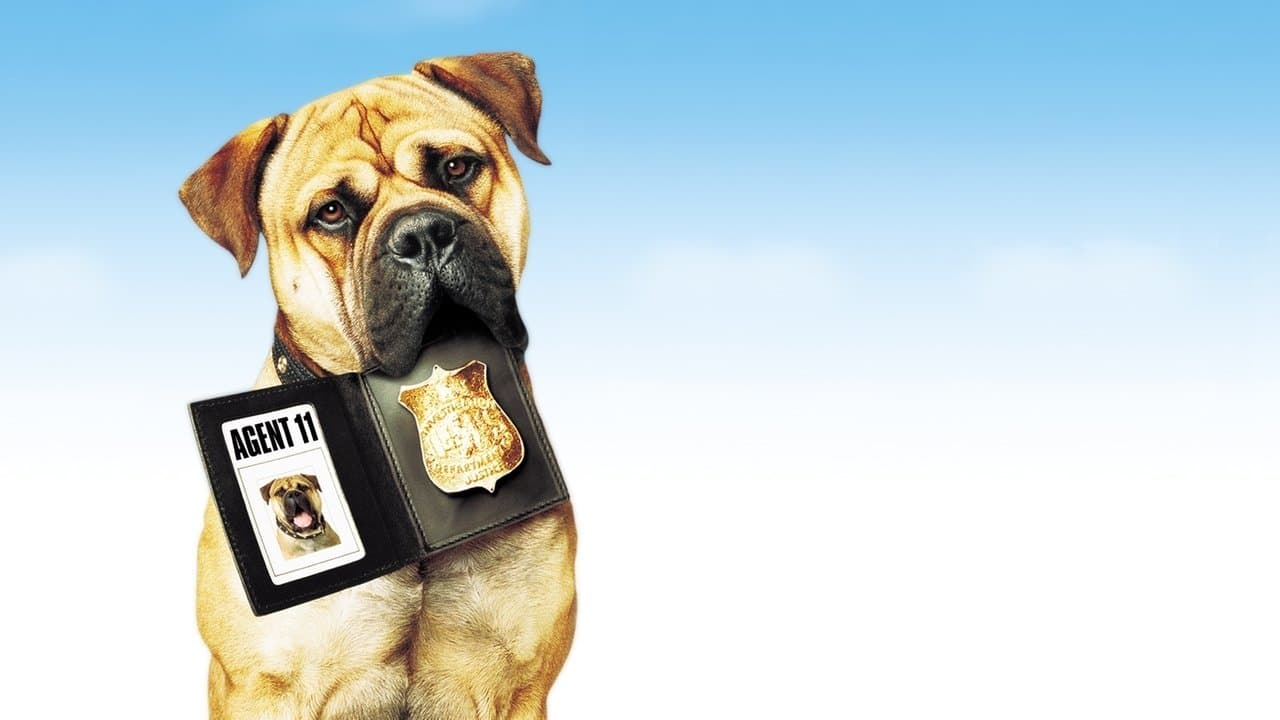 Szene aus Spot - Ein Hund auf Abwegen