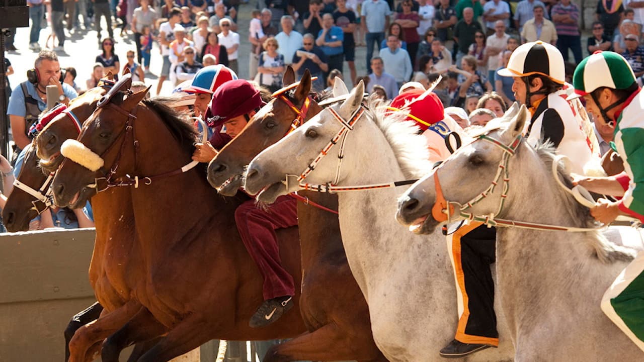 Szene aus Palio