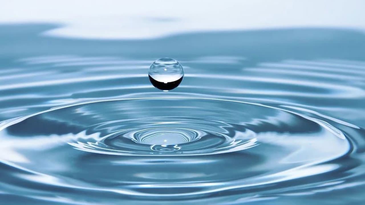 Szene aus Wasser - Im Visier der Finanzhaie