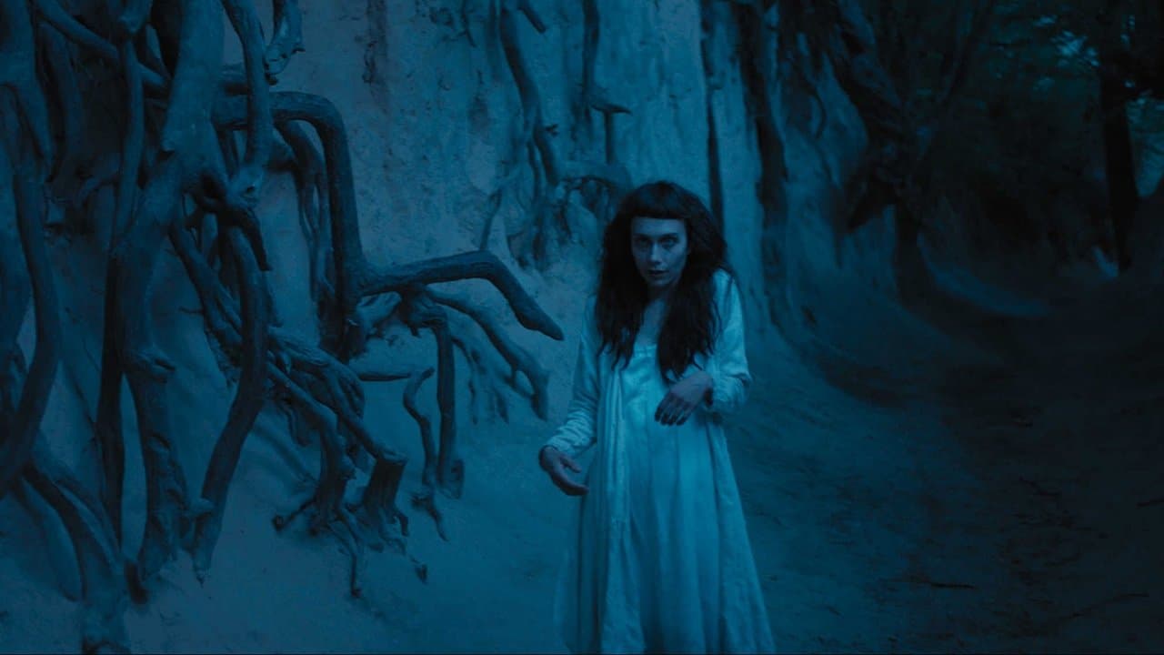 Szene aus The Field Guide to Evil