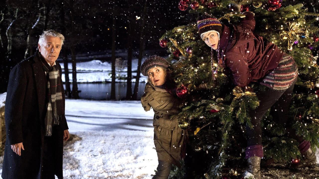 Szene aus Weihnachten … ohne mich, mein Schatz!