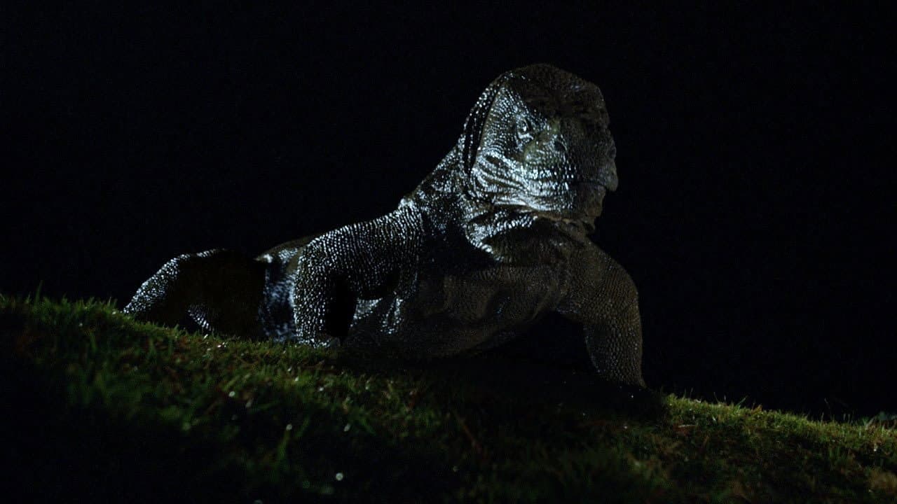 Szene aus Komodo - The Living Terror