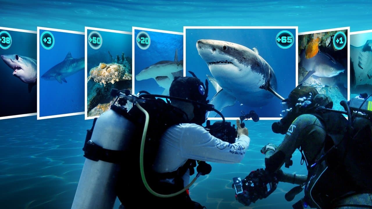 Szene aus All the Sharks