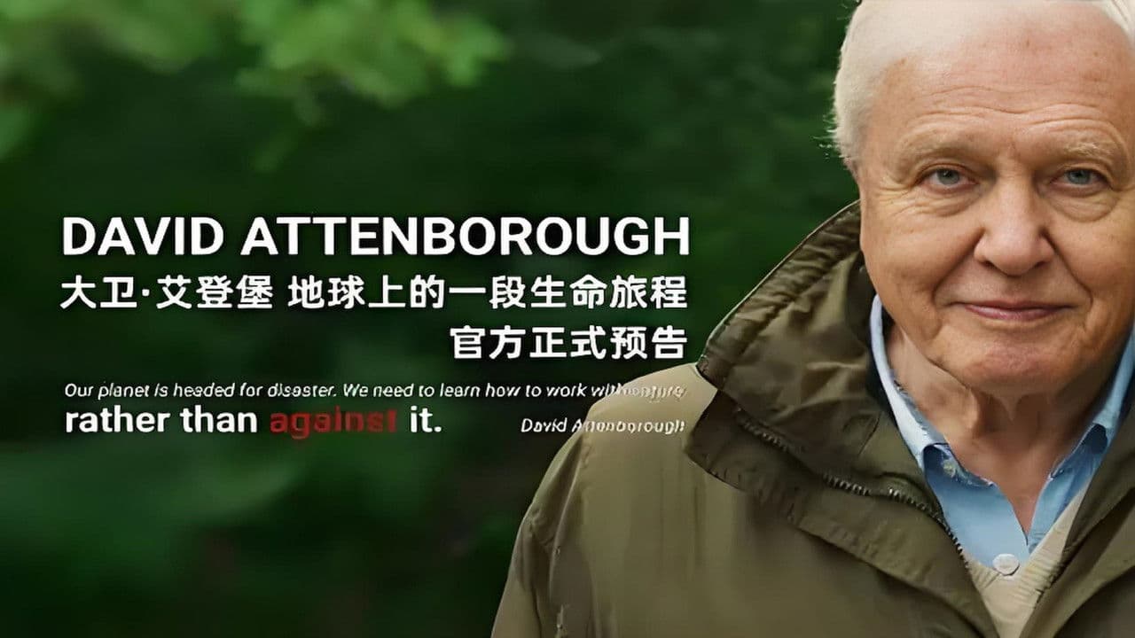 Szene aus David Attenborough: A Life on Earth