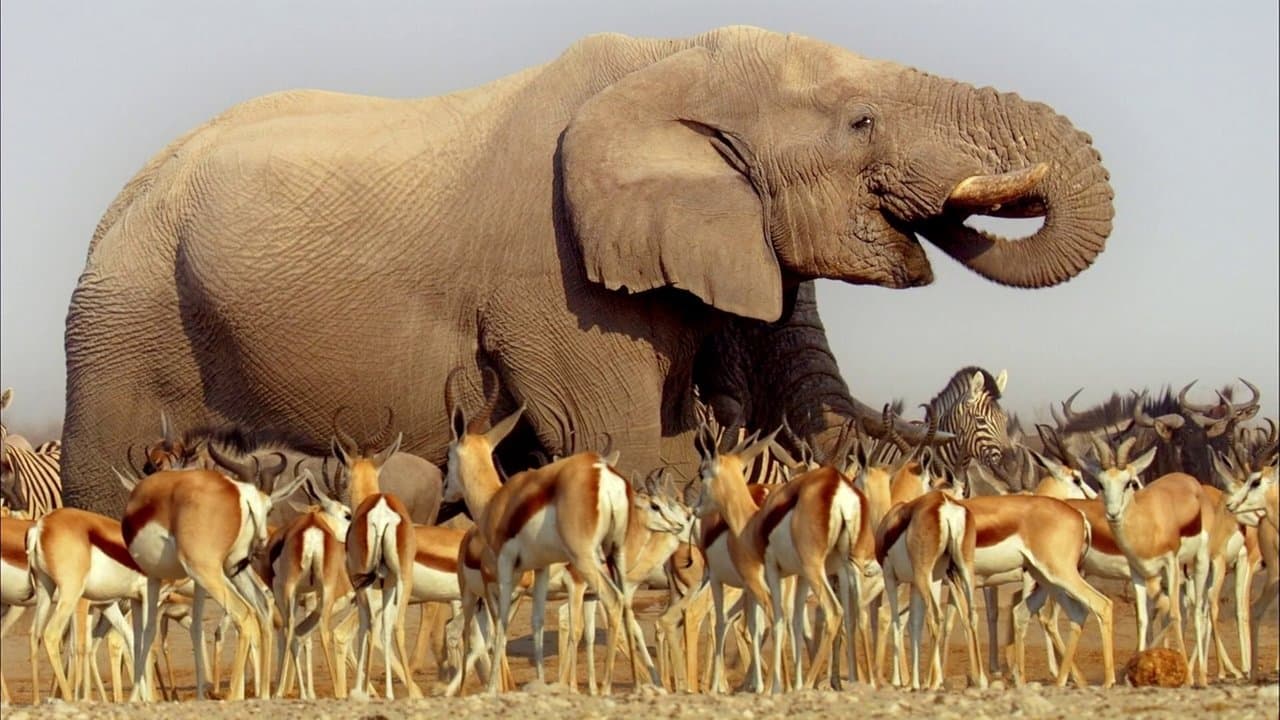 Szene aus Unbekanntes Afrika