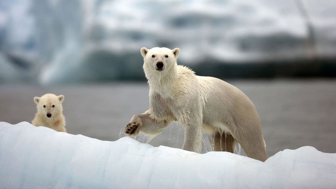 Szene aus Die größten Naturereignisse