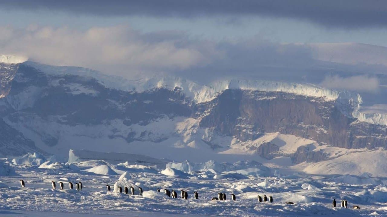 Szene aus Die Reise der Pinguine 2: Der Weg des Lebens