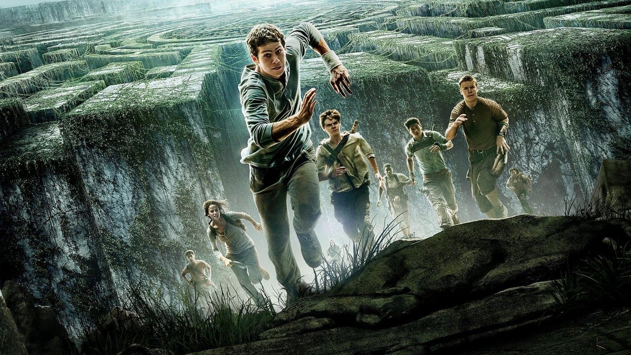 Szene aus Maze Runner - Die Auserwählten im Labyrinth