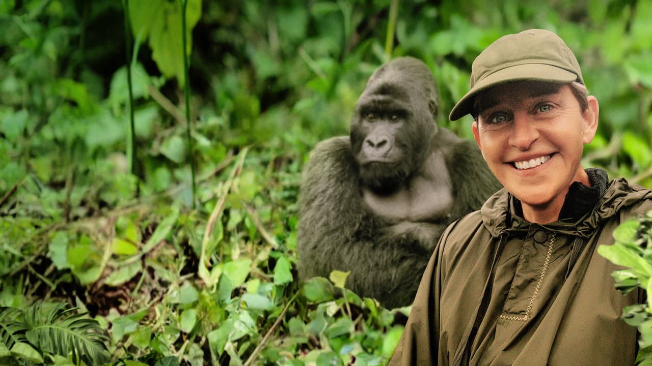 Szene aus Ellen DeGeneres rettet die Gorillas