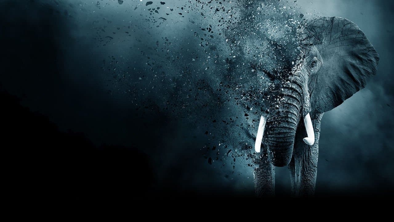 Szene aus The Ivory Game: Das Elfenbein-Komplott