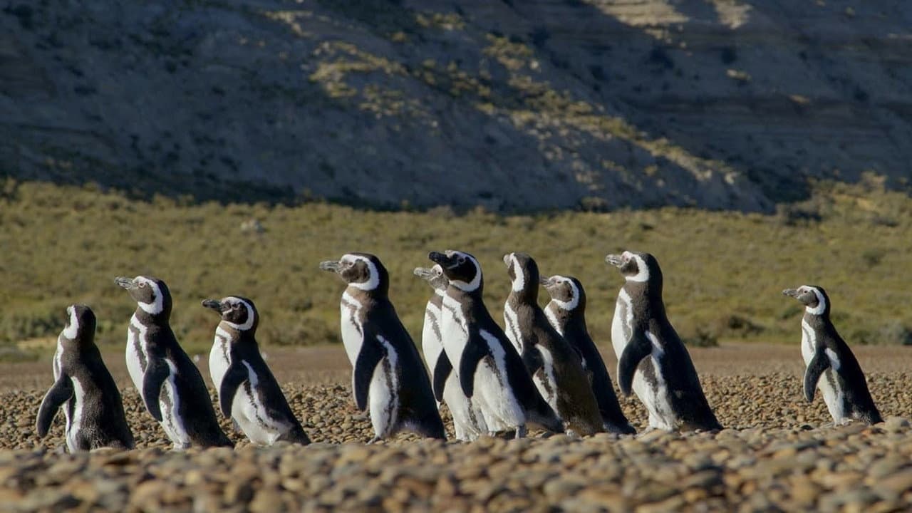 Szene aus Patagonia