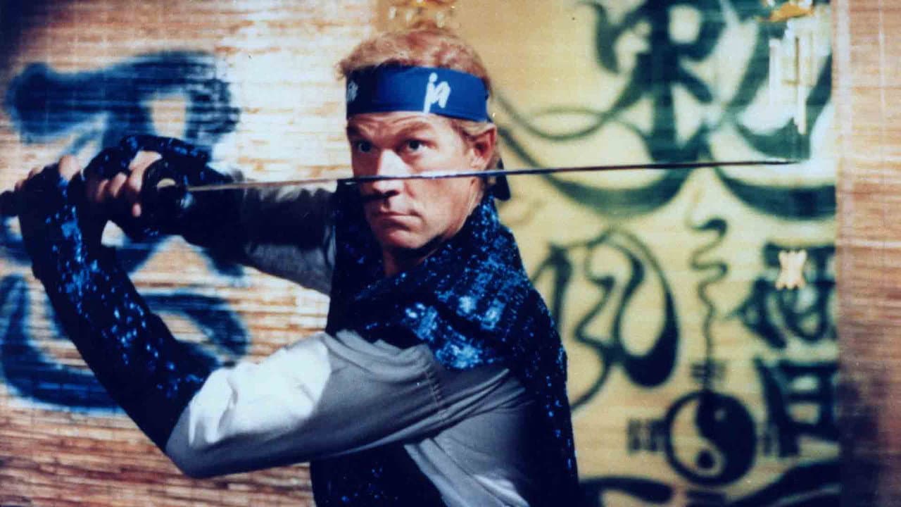 Szene aus Ninja Strike Force