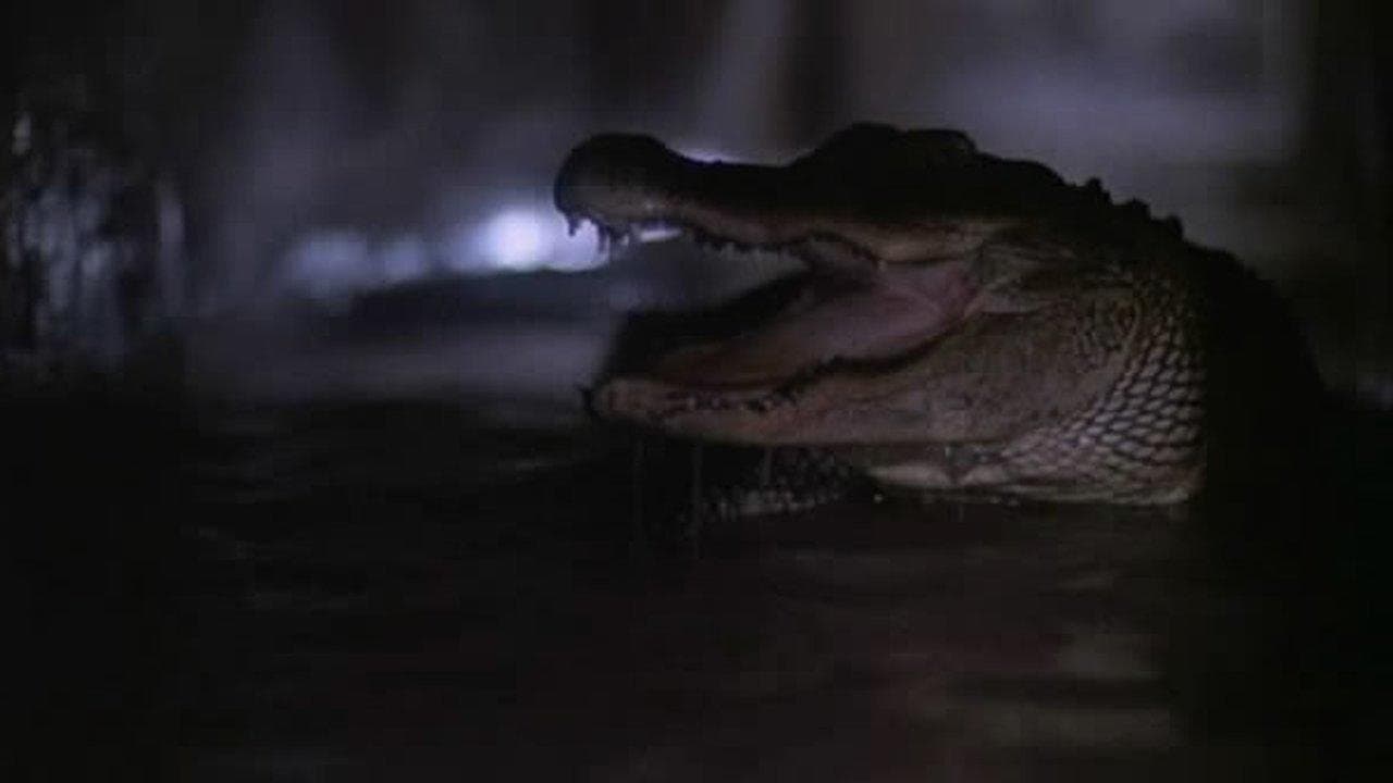 Szene aus Alligator 2 - Die Mutation